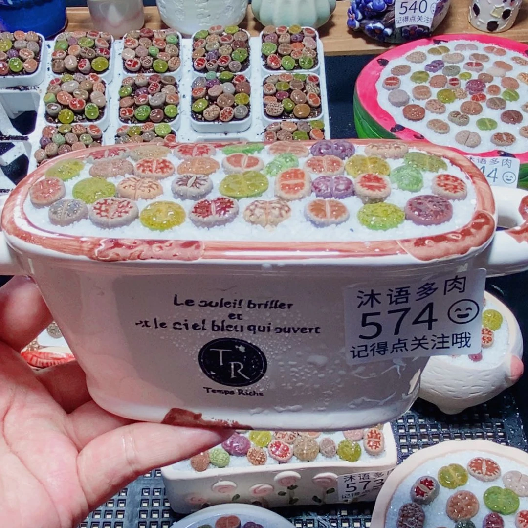 威***派一物一拍 所见即所得 574
