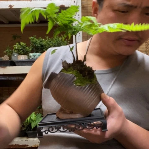 红陶觅*一物一拍所见即所得164