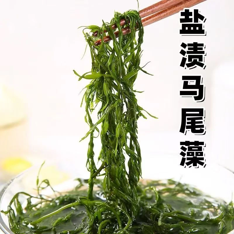 鞭炮笋盐渍马尾藻5斤长寿菜龙须菜海草羊栖菜海藻火锅凉拌菜食材