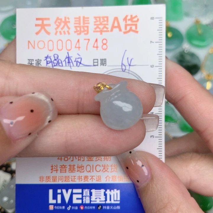 翡翠未镶嵌颈饰钱袋