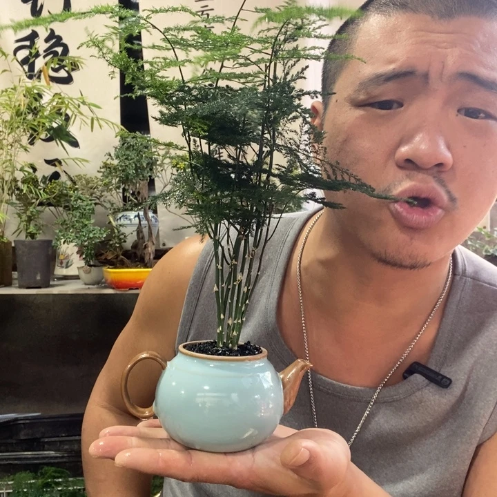 无花朵退款拉黑拉黑 61