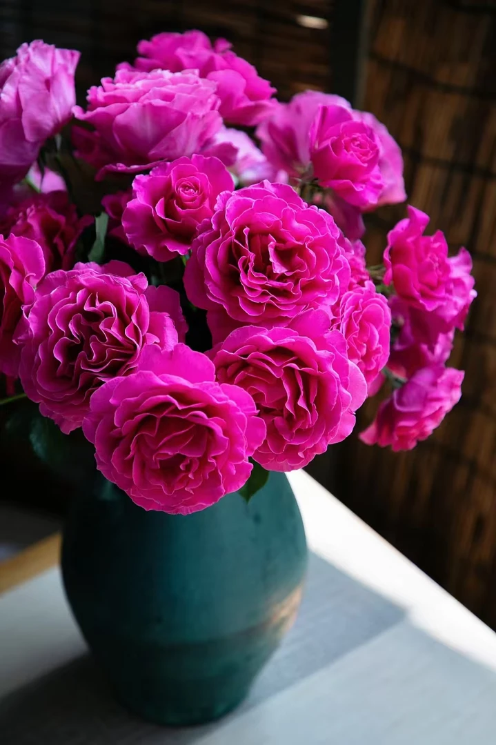 【买一送一】小头曼舞泡泡10支多头玫瑰 云南基地鲜花  家养水养