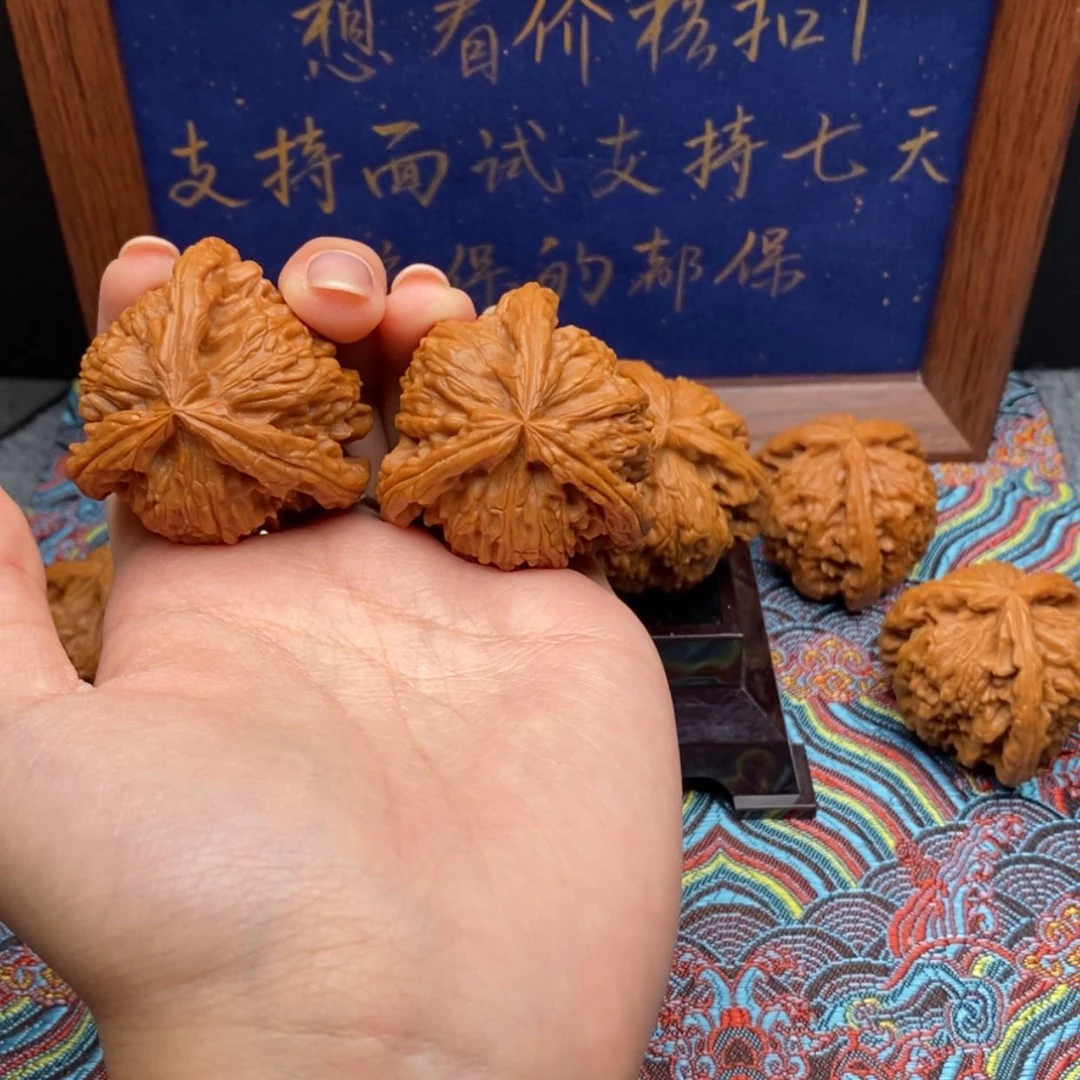 【闪购商品】袂*白狮