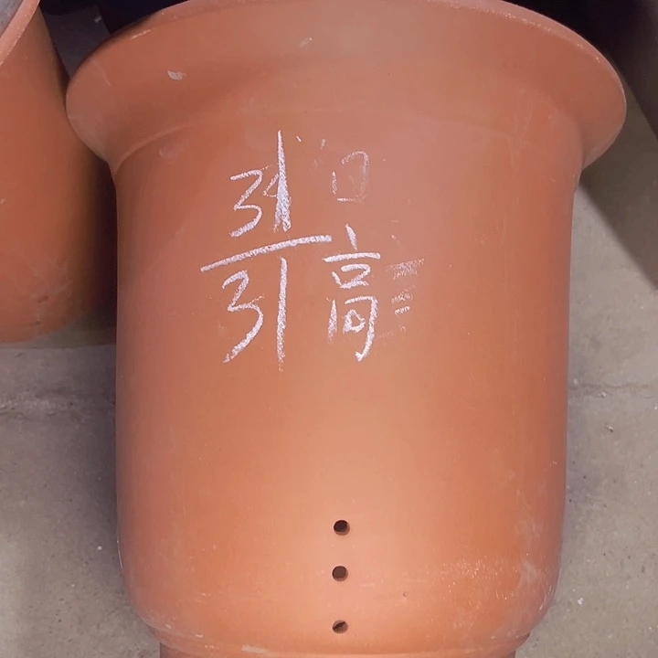 周深周深周深周深