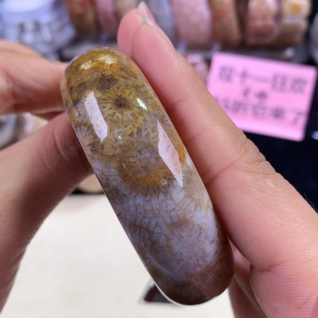 硅化珊瑚（珊瑚玉）未镶嵌吊坠(赠链)（12号精美手镯55.4圈