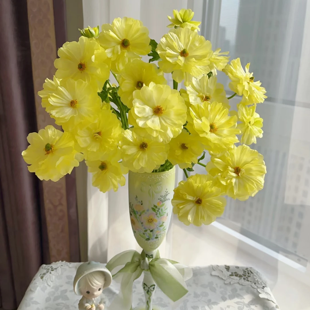 爬坡柠檬黄蝴蝶洋牡丹