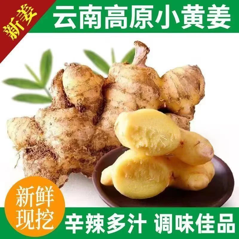 2025年久当季正宗云南现挖小黄姜新鲜当季蔬菜可做泡姜带箱发货