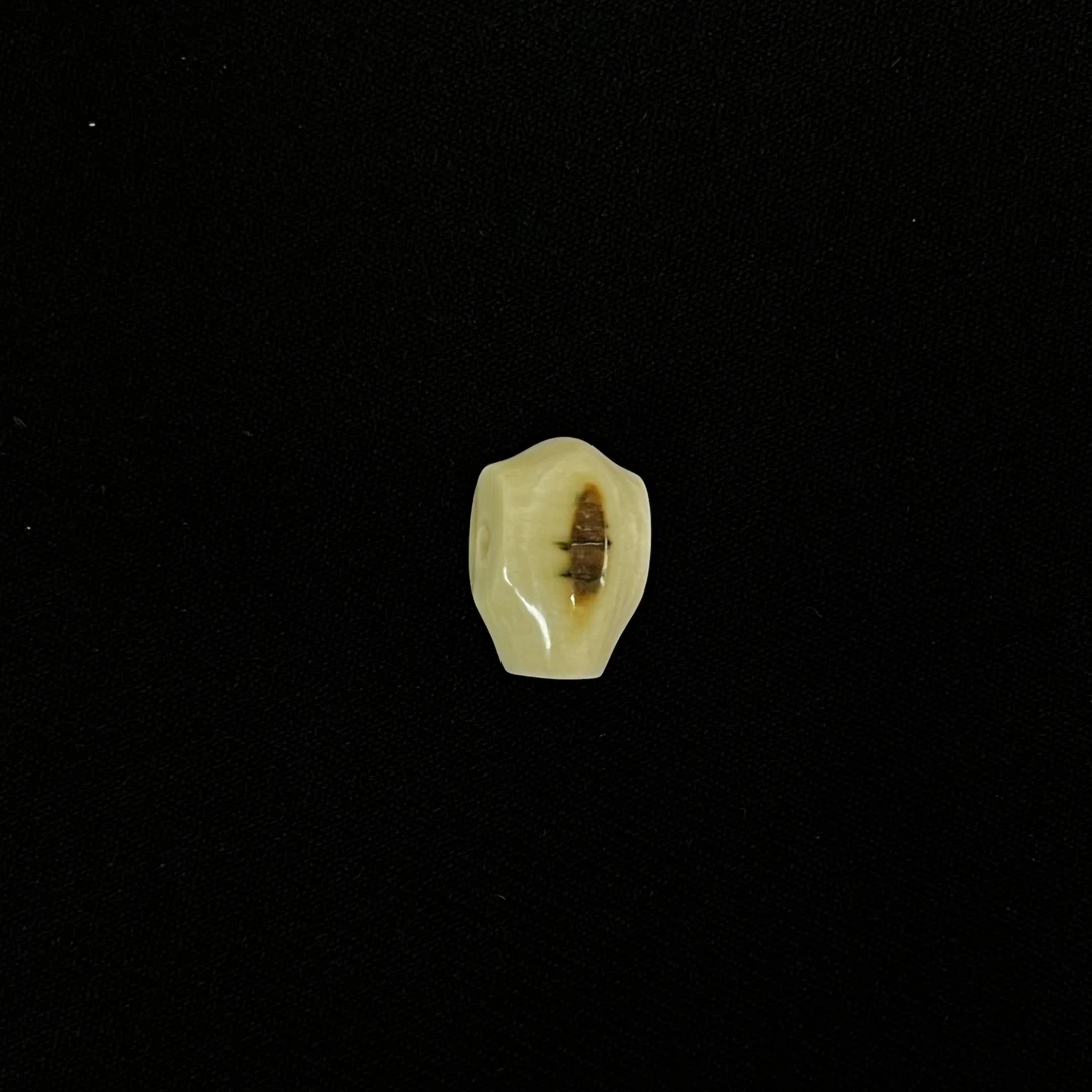 DS144 虎眼三通 只做天然猛犸牙