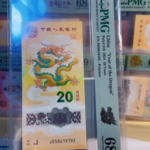 好***的塑料龙纱J058619192