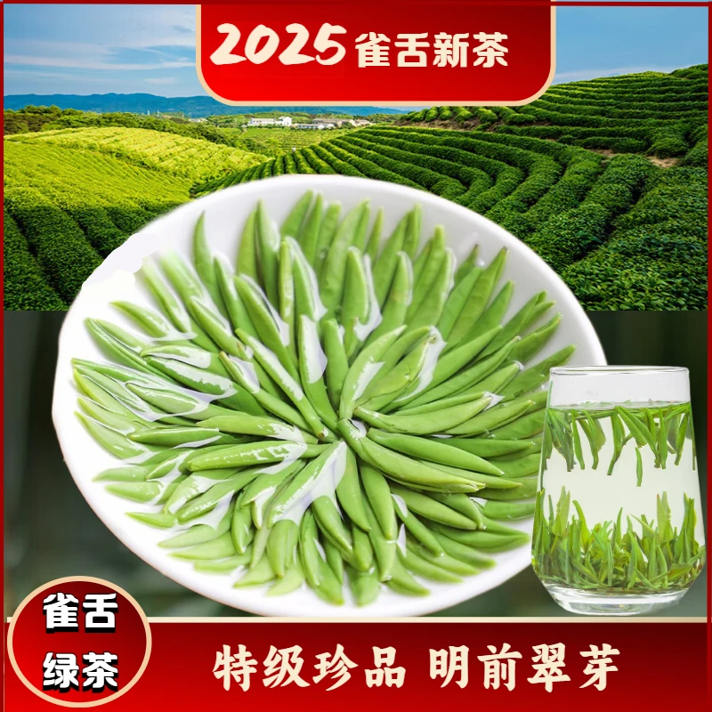 2025新茶雀舌绿茶品质茶叶特级贵州绿茶明前湄潭翠芽高山云雾春茶