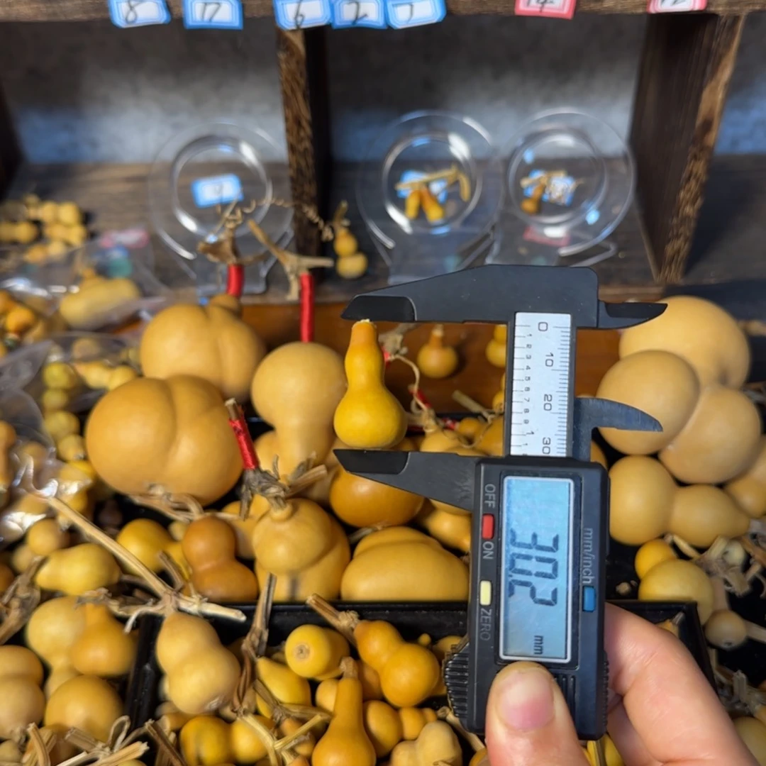 晟***蕾葫芦打孔后不退不换！