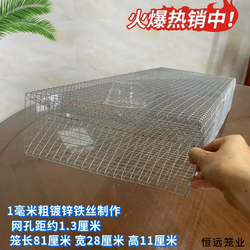 加厚双门镀锌铁丝笼户外长虫笼倒须设计防锈辣条笼虫它笼