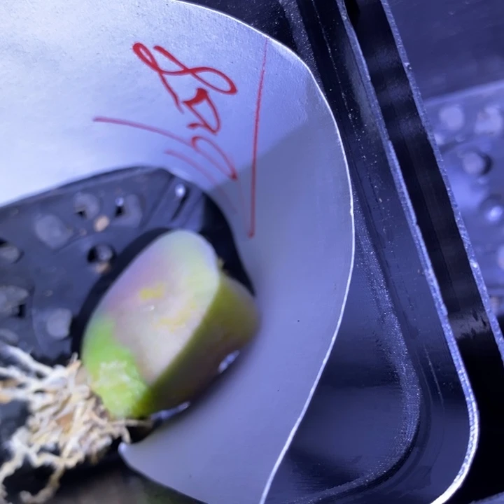 盛*16258一个一个一个