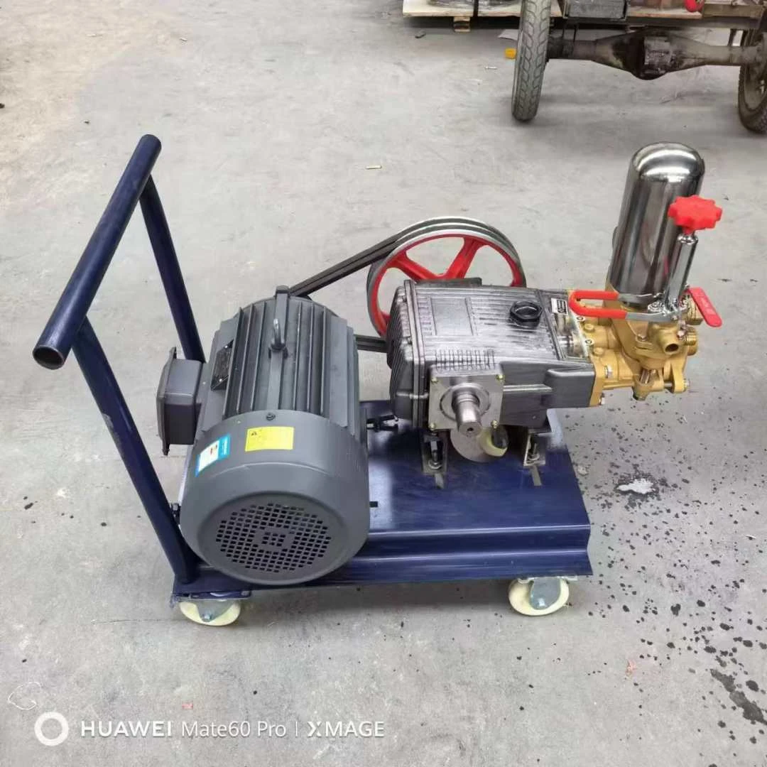 养殖场专用高压清洗机180型双枪洗车机大功率围栏冲洗猪场鸡鸭棚