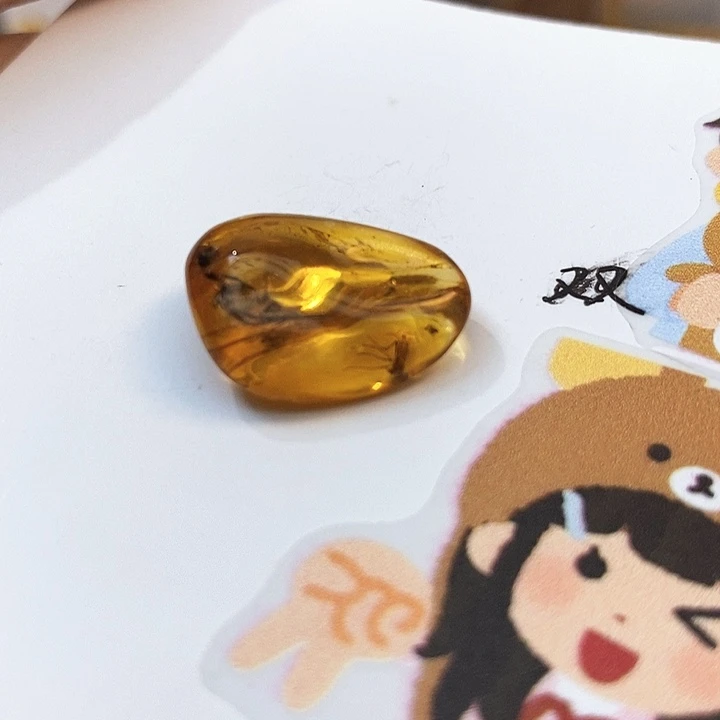 未镶嵌琥珀珠宝奇石