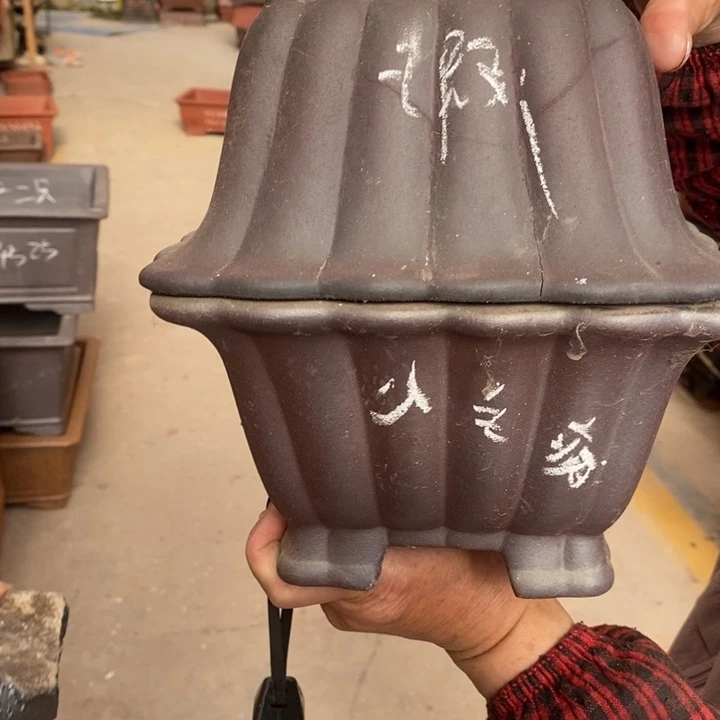 紫砂花盆自动回复你？