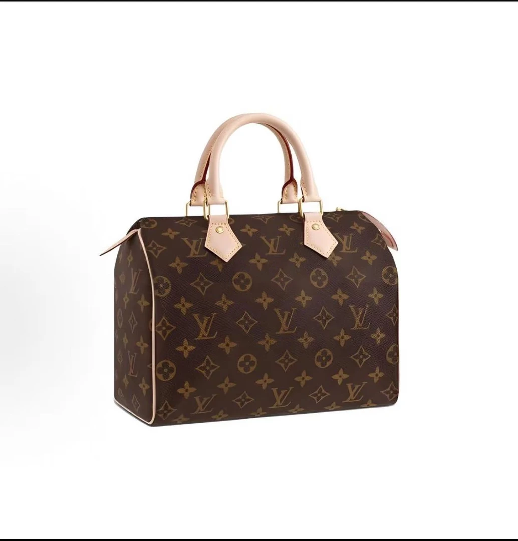 95新 LouisVuitton/路易威登 speedy 25手提款