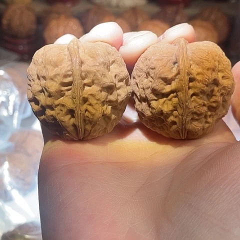 文玩核桃把件麻铁带彩磕尖40