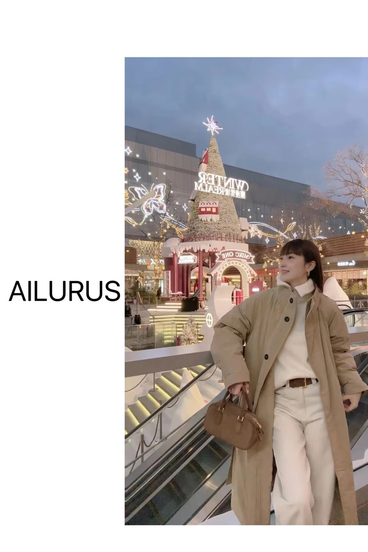 AILURUS【极简主义】2025深圳欧货冬款厚款羽绒百搭风衣