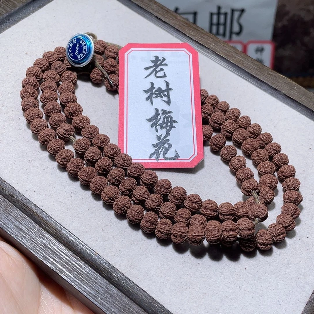 手串金刚菩提0695老树梅花