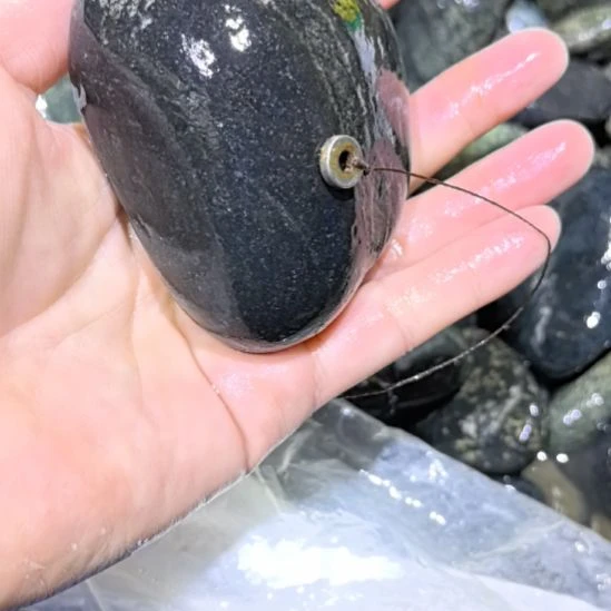 轻***舟藏玉药王石黑包公原石一个