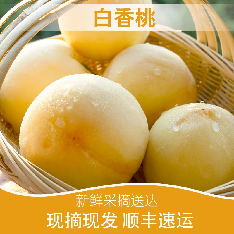 贵州高山白香桃当季新鲜水果脆甜爽口