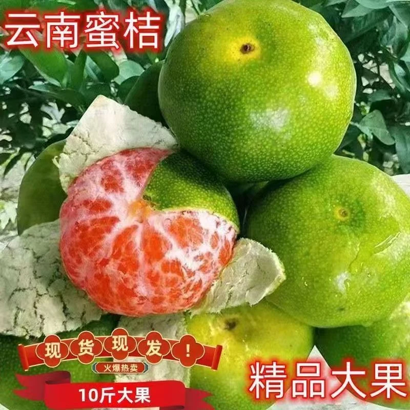 云南蜜橘青皮桔子酸甜薄皮橘子新鲜孕妇无籽蜜橘产地直发包邮