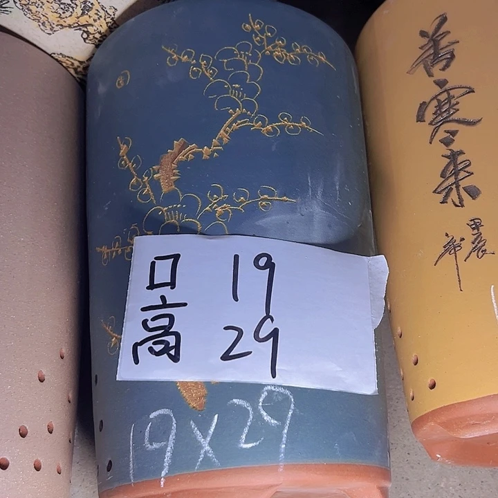 周深周深周深周深