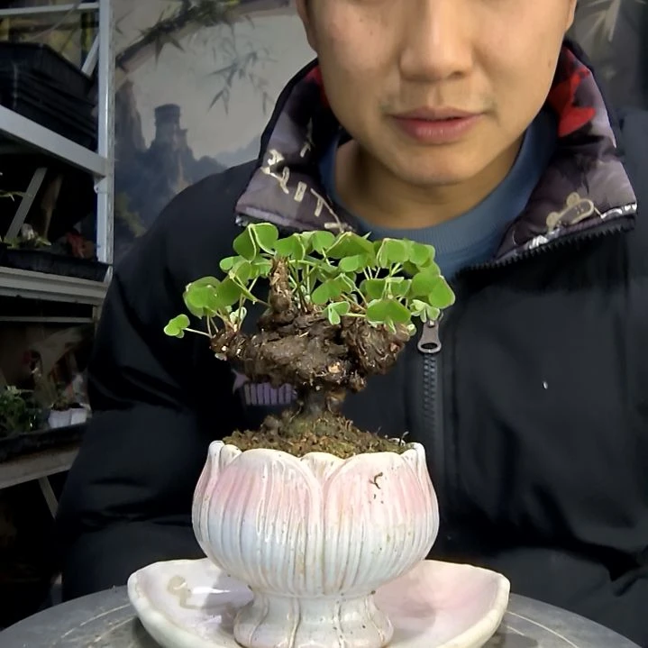 妈***猪中青园艺一物一拍花69