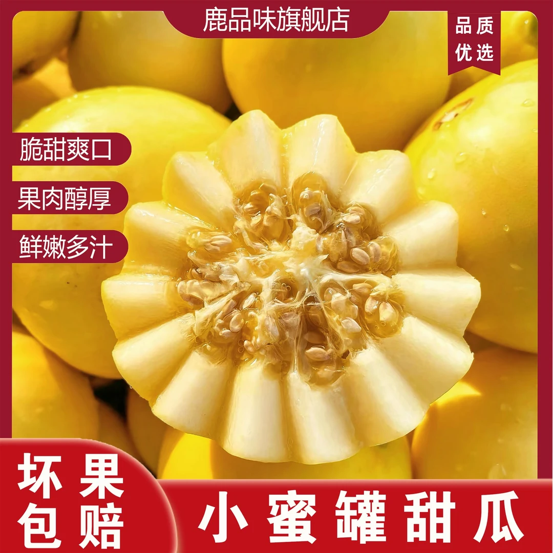 【鹿品味】山东头茬小蜜罐甜瓜脆甜多汁小蜜蜂甜瓜新鲜应季时令水果