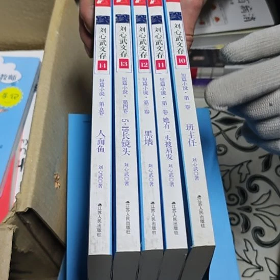 刘心武文存短篇小说五本一套库存书