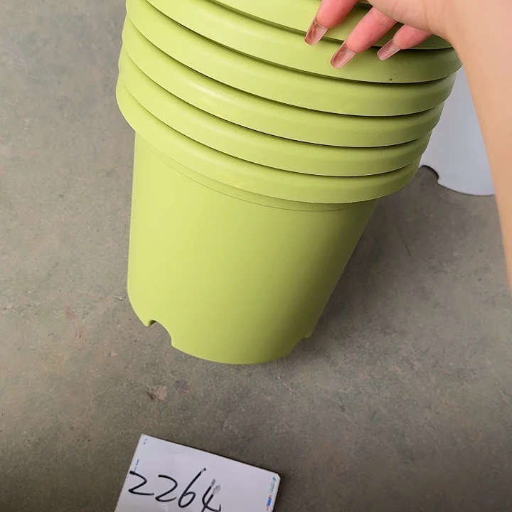 编号编号编号2264