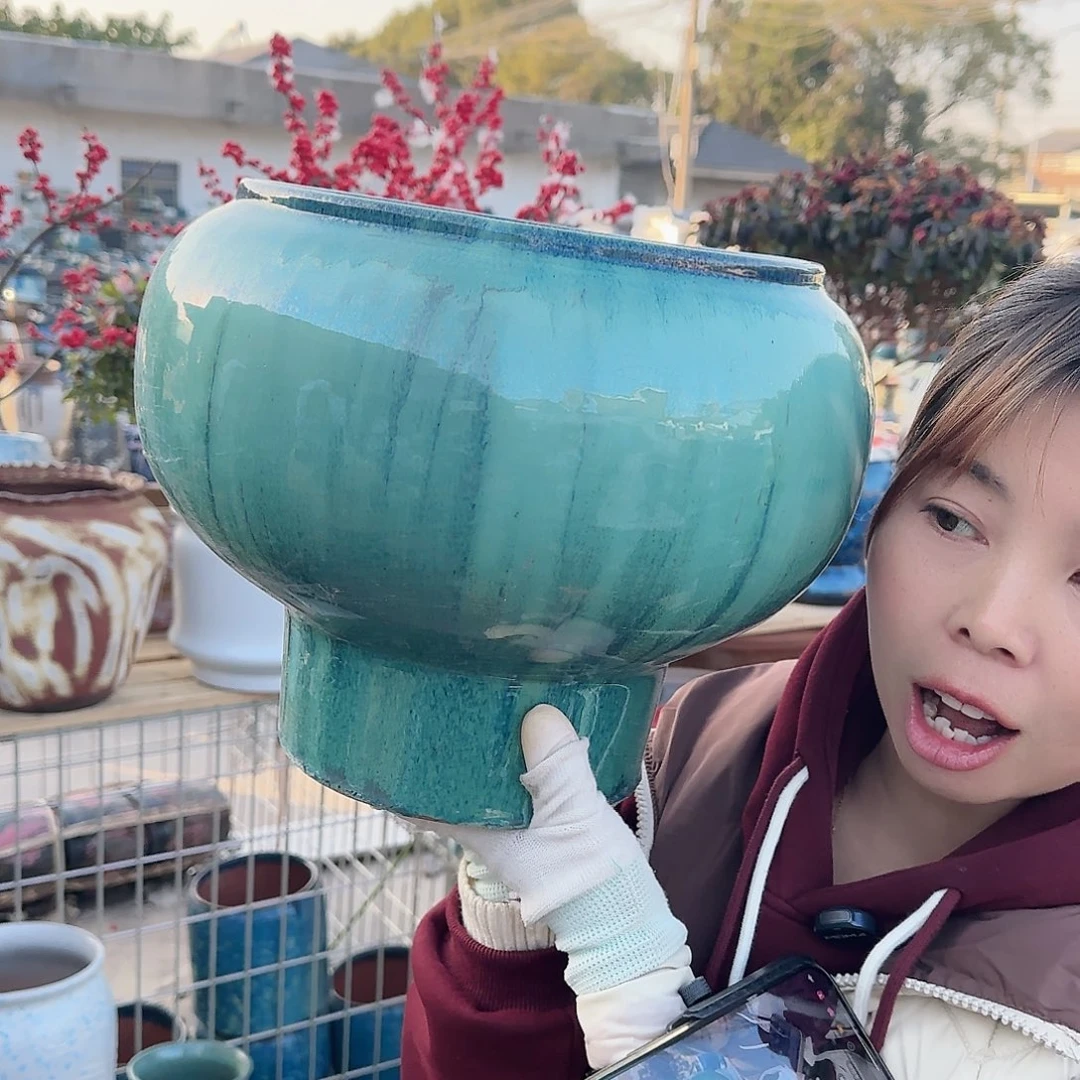 王嫂花盆1126-199高28口25