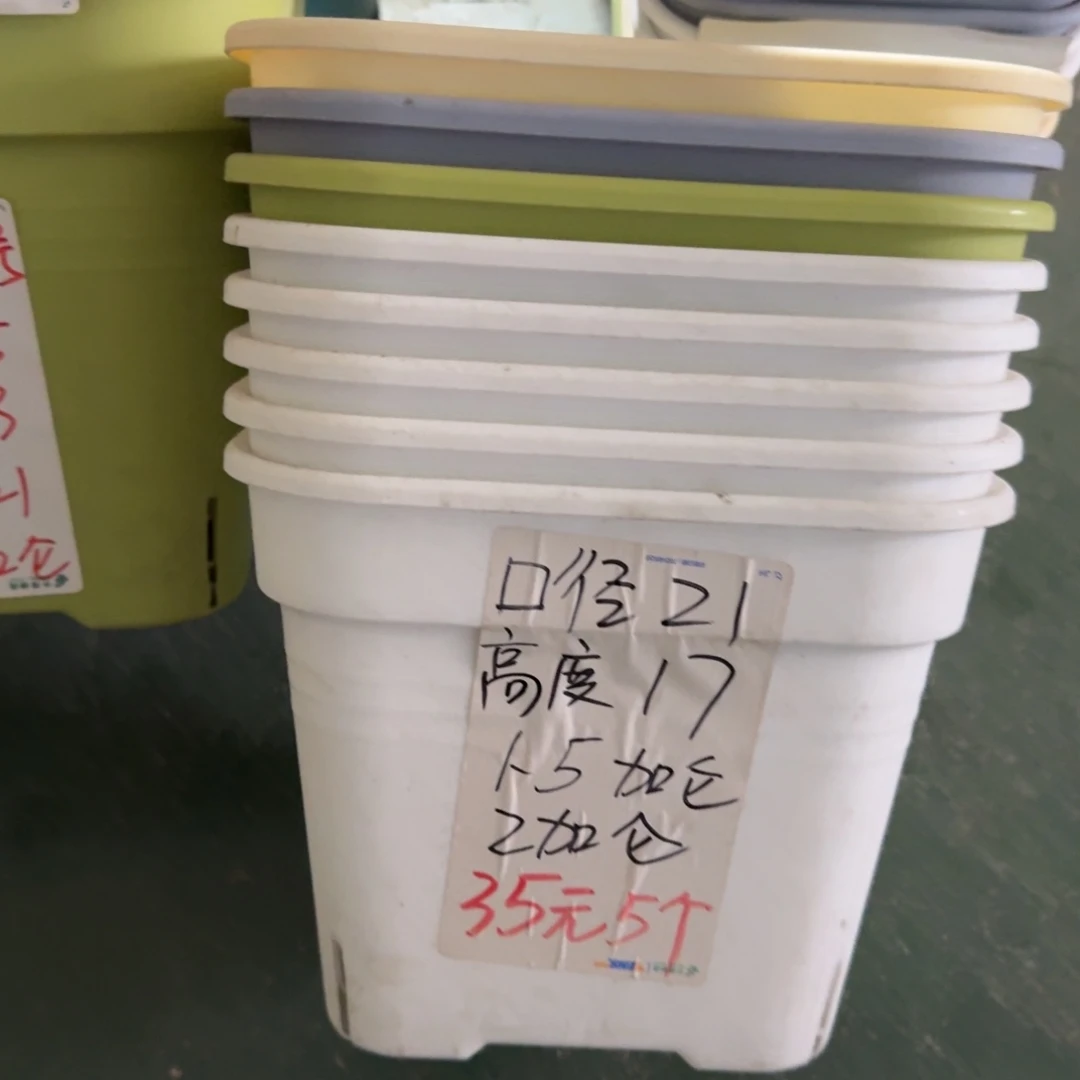 新款方盆口21无拖果绿5个