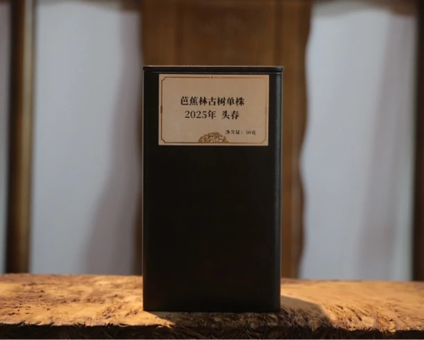 2025年头春芭蕉林古树单株  50克/罐