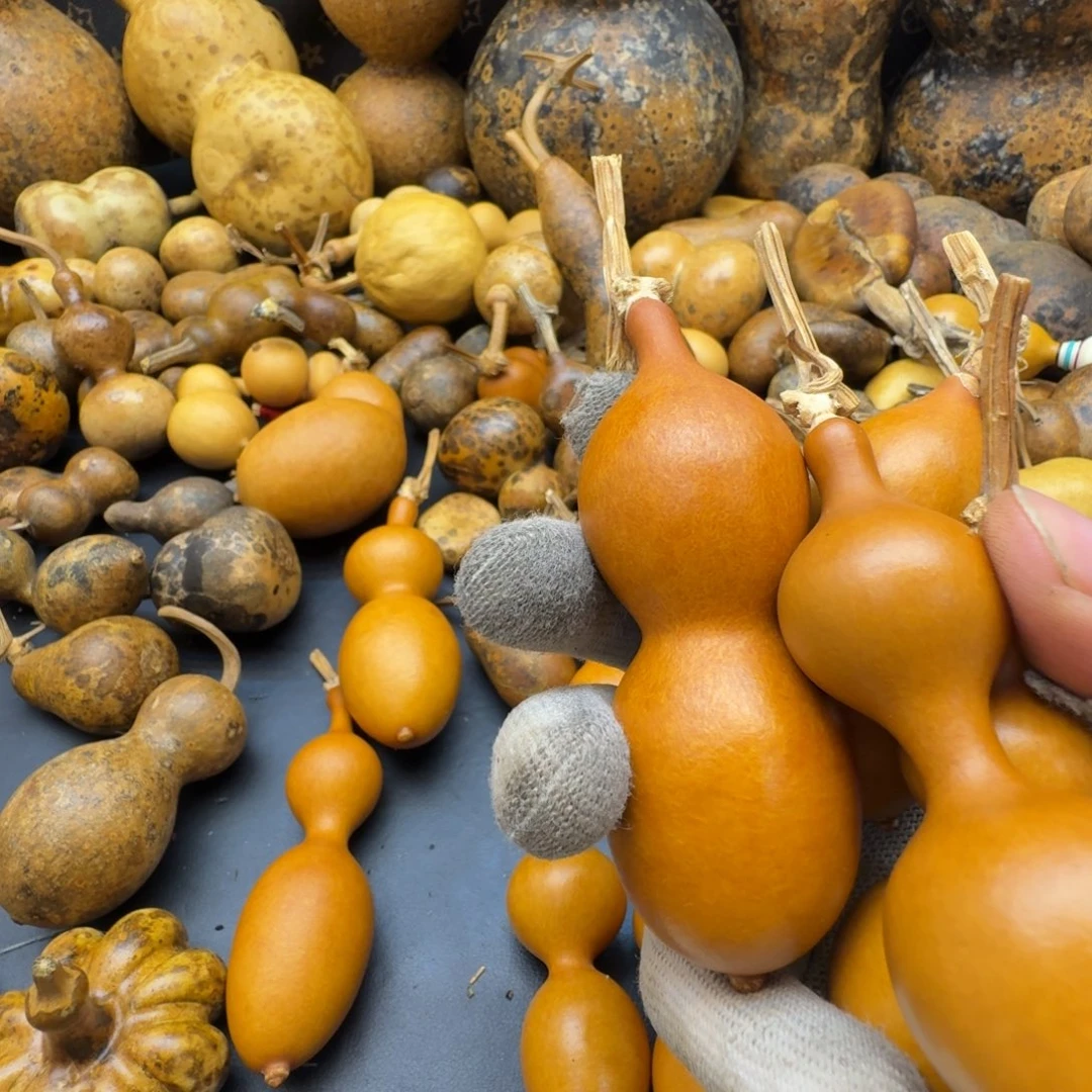 ****葫芦葫芦葫芦葫芦