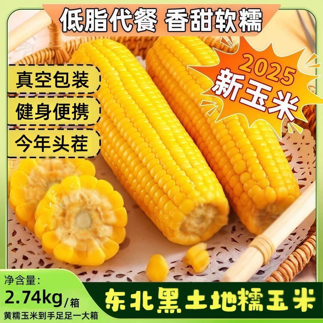 【25年头茬新货】25年头茬东北黑土地黄糯玉米真空包装开袋即食整根