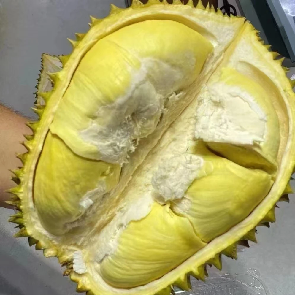 【3】【整果】金枕鲜榴莲 一果一拍 （2-8斤核小核大不一）【榴莲小时达】榴莲同城配金枕泰国