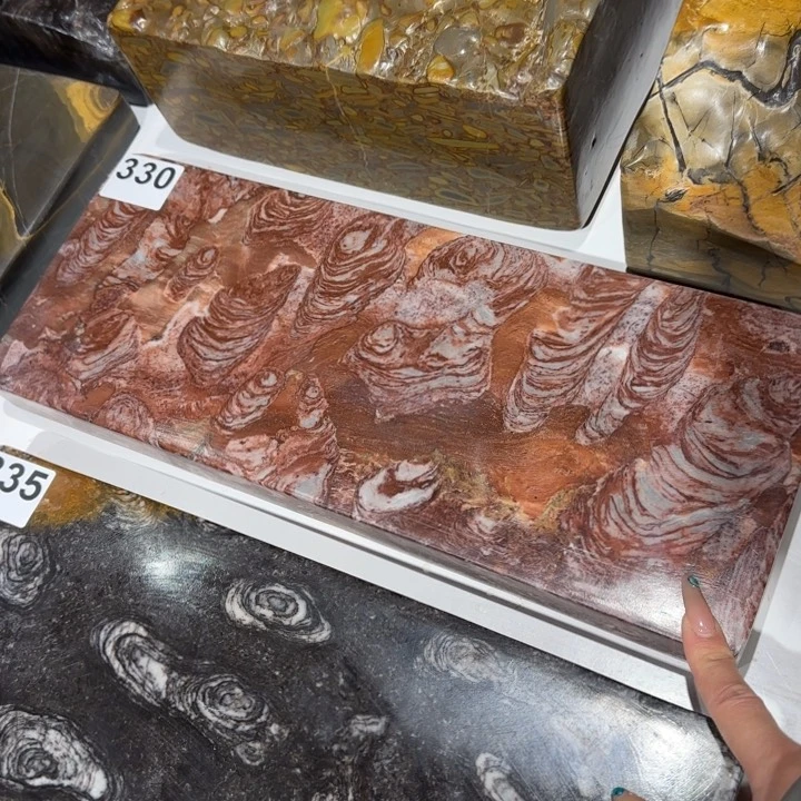 11111111白*说11111111111