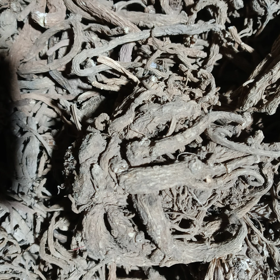 佤乡山货推荐【当归】山货特产干货