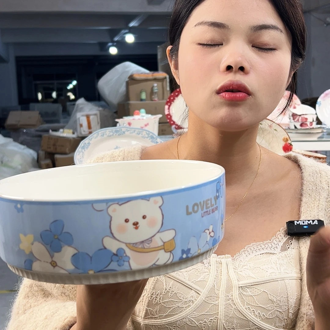 潮州微瑕陶瓷餐具9寸