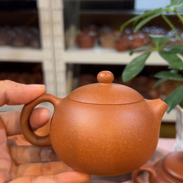茶壶紫砂降坡西施180c c