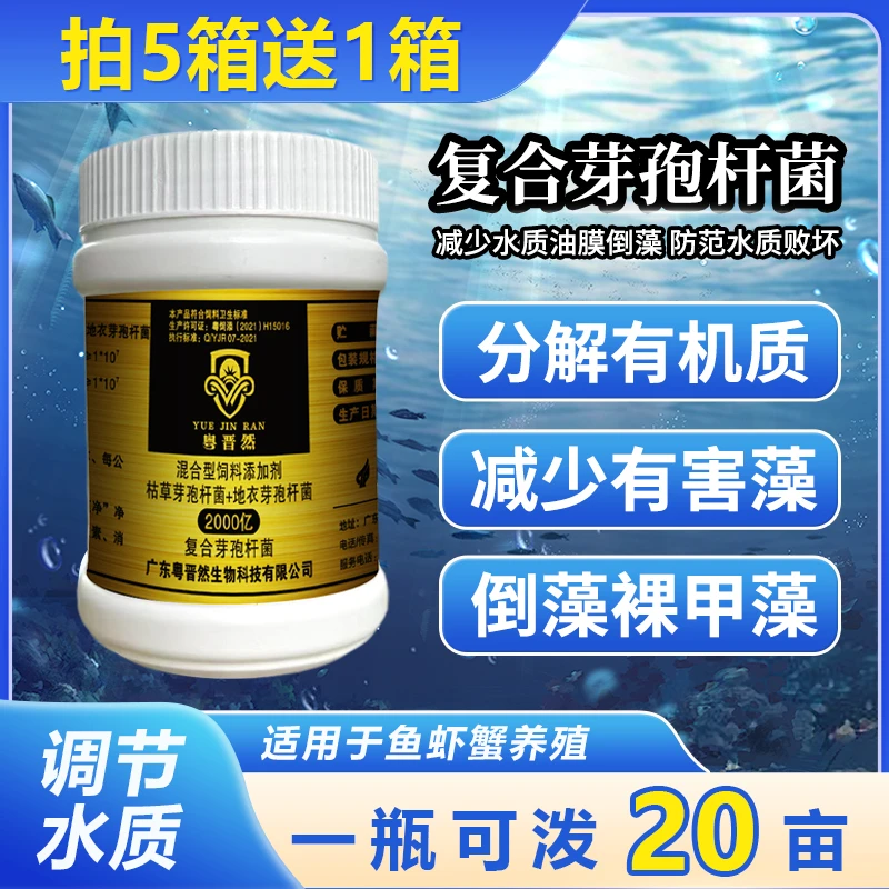 粤晋然2000亿复合芽孢杆菌瓶装水产养殖净水分解有害藻有机质产品