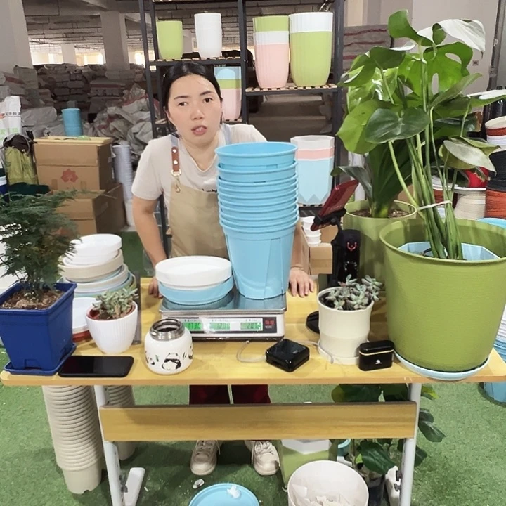 青山盆口21高21蓝色带托10只