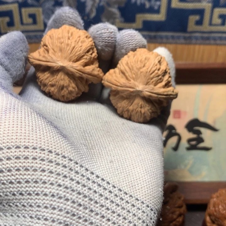 南***⁸哈哈哈哈哈哈哈哈