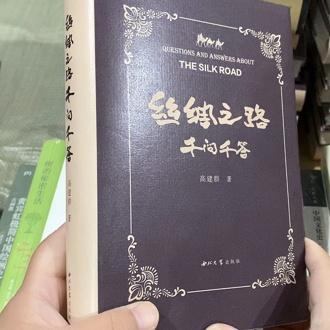 家****丝绸之路……