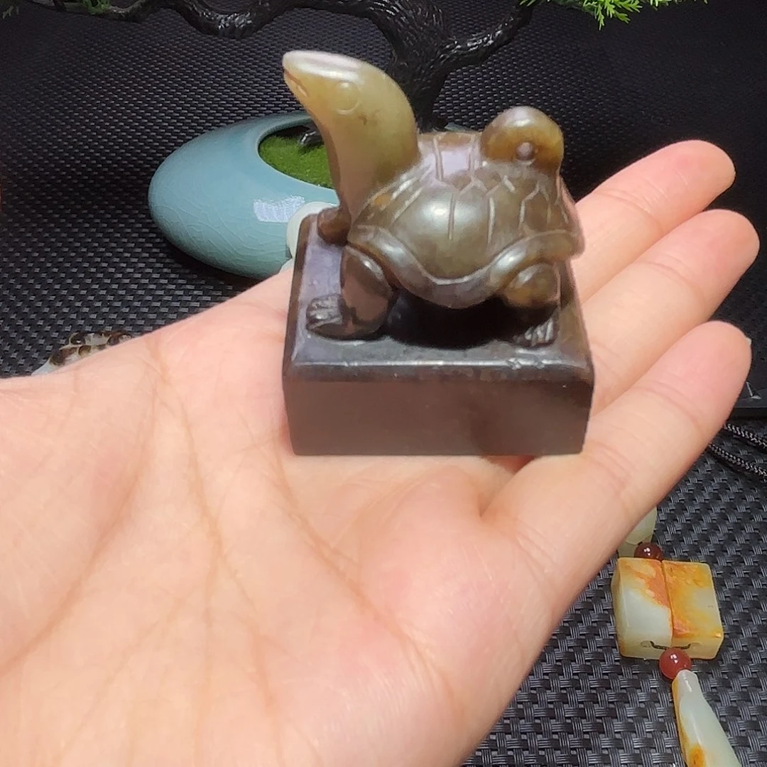 缸一物一图 所见所得