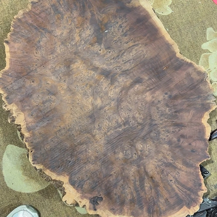 绍***龙树脂制品木木木木木木木木