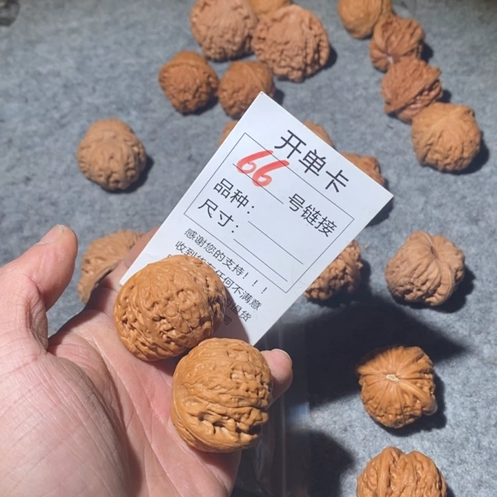 文玩核桃把件66咯小心翼翼问我