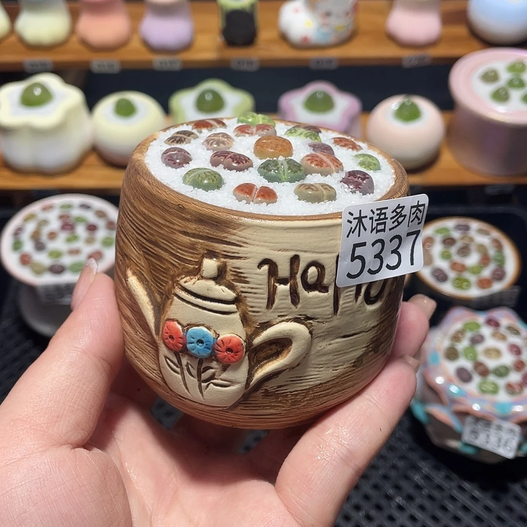 带盆土植物 一物一拍5337